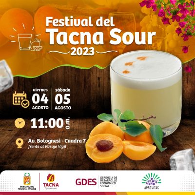 04-05082023festivaltacnasour