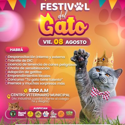 2025-08-08-festival-del-gato