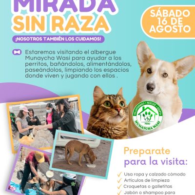 2025-08-16-mirando-sin-raza