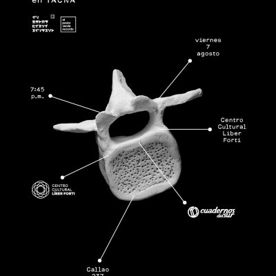 2026-08-07-vertebras